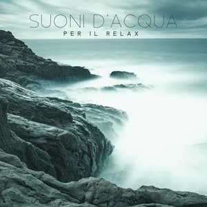 Suoni d'acqua per il relax - Il suono delle onde, Dei fiumi, Dei ruscelli, Della pioggia, Calma i tuoi sensi con l'elemento acqua - Atmosfera Zen di Acqua Calma