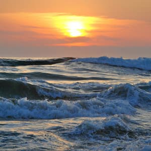 Soothing Ocean Seashore Study: Beachside Mastery - Ocean Tides