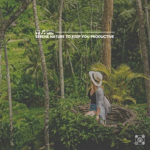 Serene Nature to Keep You Productive - Nature Sound Collection