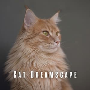 Cat Dreamscape: Piano Sounds for a Relaxed Cat Atmosphere - Pianoramix