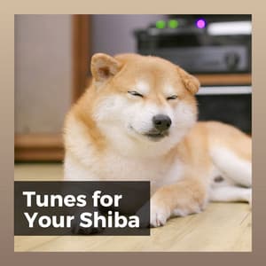 Tunes for Your Shiba - Dog Music Therapy
