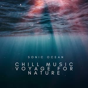 Sonic Ocean: Chill Music Voyage for Nature - Ocean Therapy