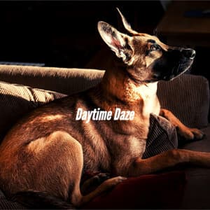 Daytime Daze - Relaxing Dog Music Beats