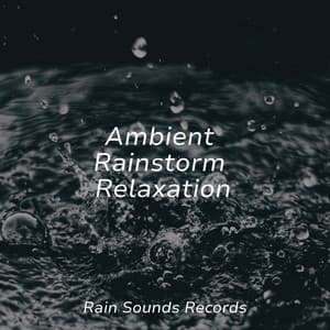 Ambient Rainstorm Relaxation - Calming Sounds