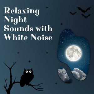 Relaxing Night Sounds with White Noise, Loopable - White Noise Therapy