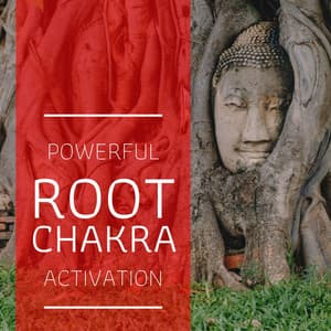 Powerful Root Chakra Activation: 7 Chakras Balancing Music - Massage Therapy Ensamble