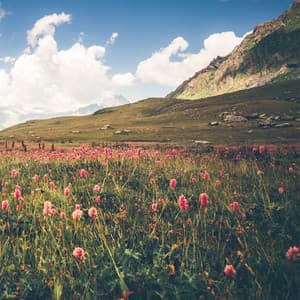 Dormir Sol - Música De Relajación Para Dormir Profundamente