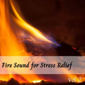Fire Sound for Stress Relief Vol. 2 - Fireplace Sounds