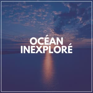 Océan inexploré - Vagues Dans La Mer