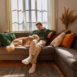 Mascotas Armónicas: Sonidos Relajantes Para Amigos Animales - Juegos de lluvia