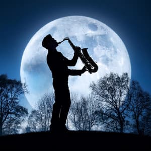 Estrellas En Ascenso: Descubrimiento De Música De Jazz - Musica de Jazz para Hoteles