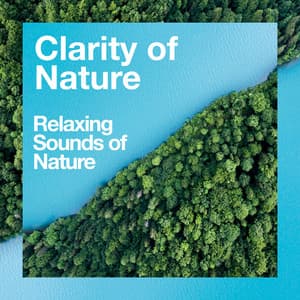 Clarity of Nature - Relaxing Sounds Of Nature