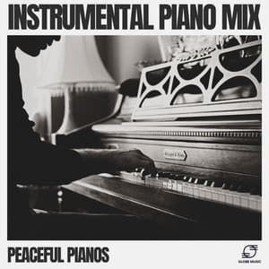 Instrumental Piano Mix - Peaceful Pianos