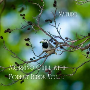 Nature: Morning Chill with Forest Birds Vol. 1 - Hang Drum Music