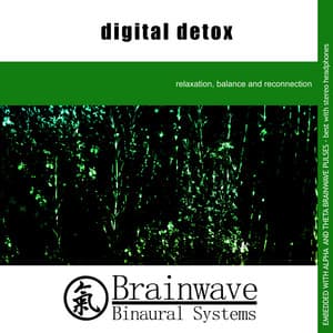 Digital Detox - Brainwave Binaural Systems