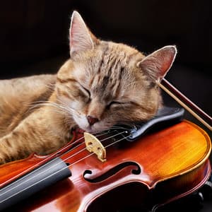 Orchestra Of The Gentle Paws: A Melody For Cats - Jason Humphries