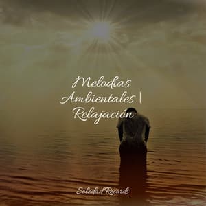 Melodías Ambientales | Relajación - Academia de Música para Massagem e Relaxamento