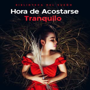 Hora de Acostarse Tranquilo - Biblioteca del Sueño