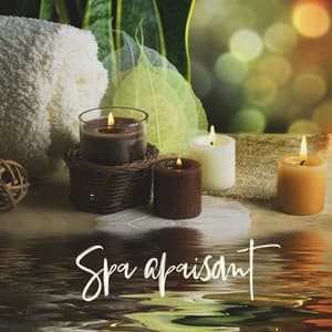 Spa apaisant: Musique sereine aux sons de la nature pour une journée spa et bien-être, détente et soulagement du stress - Oasis de Musique Nature Relaxante