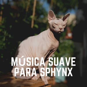 Música Suave Para Sphynx - Musica para Gatos
