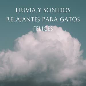 Retiro Lluvioso Para Gatitos: Lluvia Y Sonidos Relajantes Para Gatos Felices - Sonidos De Lluvia
