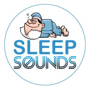 Sleep Sounds - Music for Sleeping Ensemble