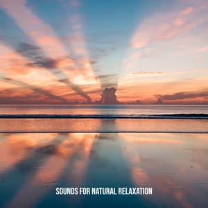 Sounds for Natural Relaxation - Calm Mind, Stress Relief, Inner Balance - Natural New Age Maker!