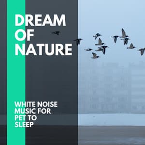 Dream of Nature - White Noise Music for Pet to Sleep - Incredible Oceans