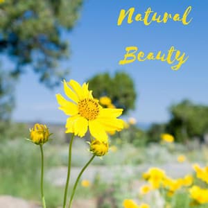 Natural Beauty - Peaceful Me