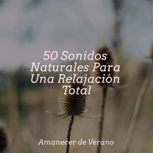 50 Sonidos Naturales Para Una Relajación Total - Sonidos de la Naturaleza Relajacion
