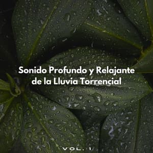 Sonido Profundo Y Relajante De La Lluvia Torrencial Vol. 1 - Sonidos de la naturaleza: tormenta