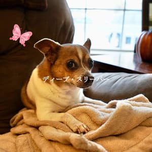 ディープ・スリーパー - Classic Jazz Music