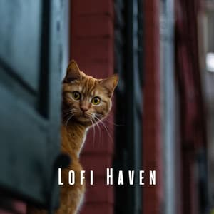 Lofi Haven: Peaceful Tunes for Relaxing Cats - Lofi Music Club