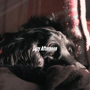 Lazy Afternoon - Cena Jazz