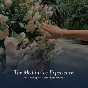 The Meditative Experience: Journeying with Ambient Sounds - #Calming