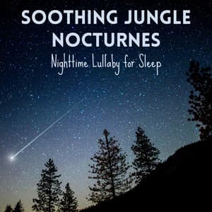 Soothing Jungle Nocturnes: Nighttime Lullaby for Sleep - Nature Goddess