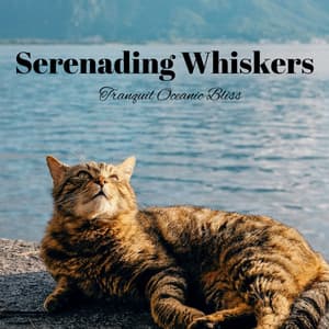 Serenading Whiskers: Tranquil Oceanic Bliss - Waves Hard