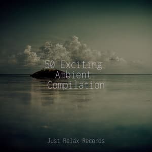 50 Exciting Ambient Compilation - Anxiety Relief