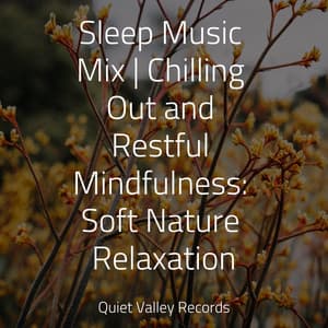 Sleep Music Mix | Chilling Out and Restful Mindfulness: Soft Nature Relaxation - Nature Sound Series