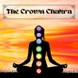 The Crown Chakra - 7th Chakra Balancing Music for Every Season - Chakra Ray