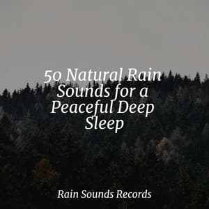 50 Natural Rain Sounds for a Peaceful Deep Sleep - Canción de Cuna