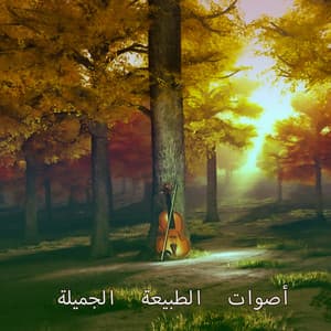 أصوات الطبيعة الجميلة: موسيقى الاسترخاء للنوم والسبا والدراسة والتأمل - جمع الاسترخاء