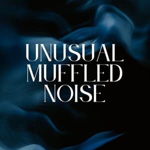 Unusual Muffled Noise - Meditation Bliss