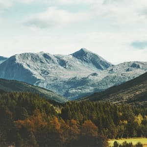 Music For Sleeping - Uyku Müzik