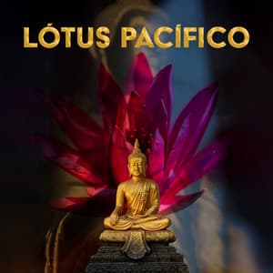 Lótus pacífico - Academia de Meditação Buddha