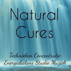 Natural Cures - Energiebalans Studie Technieken Concentratie Muziek voor Rustgevende Slaap Hersenstimulatie en Yoga Meditatie - Nature Sounds Relaxation