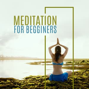 Meditation for Begginers - 15 Melodies that will Put You in a State of Total Concentration - Meditation Music Masters