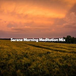 Serene Morning Meditation Mix - New Orleans Jazz Playlist