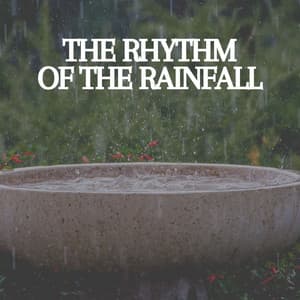 The Rhythm of the Rainfall - Pro Sound Effects Library