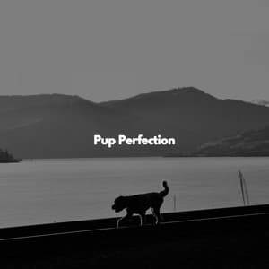 Pup Perfection - Música Lounge Relax para Cafés